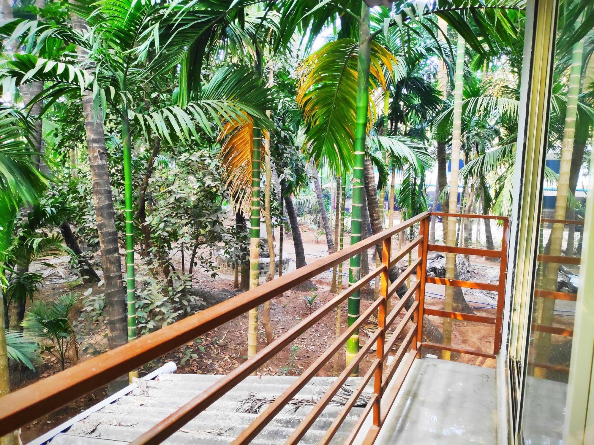 Ashish Baug Cottage アリバグ 部屋 写真