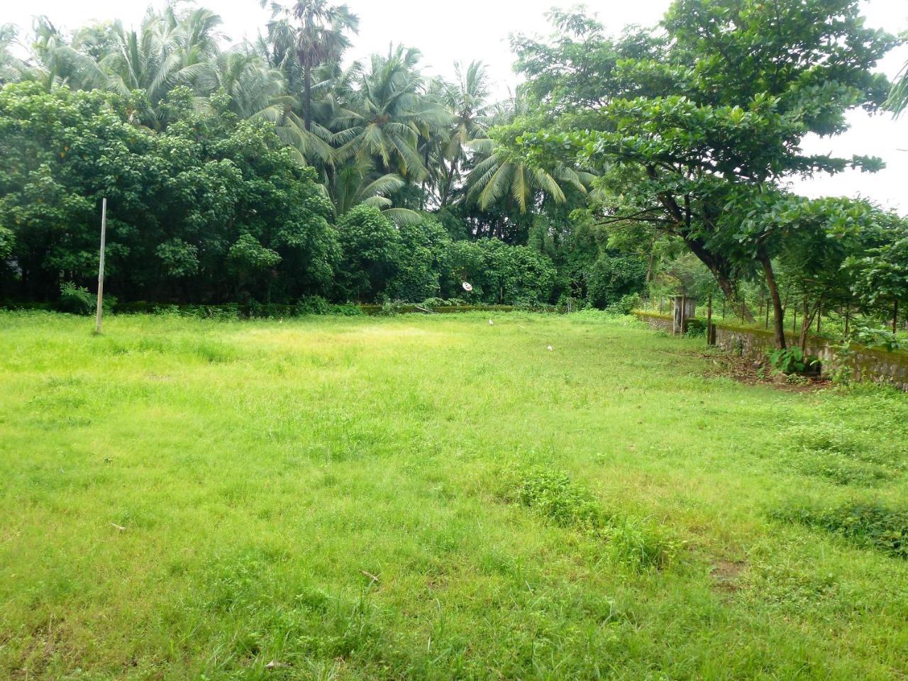 Ashish Baug Cottage アリバグ エクステリア 写真